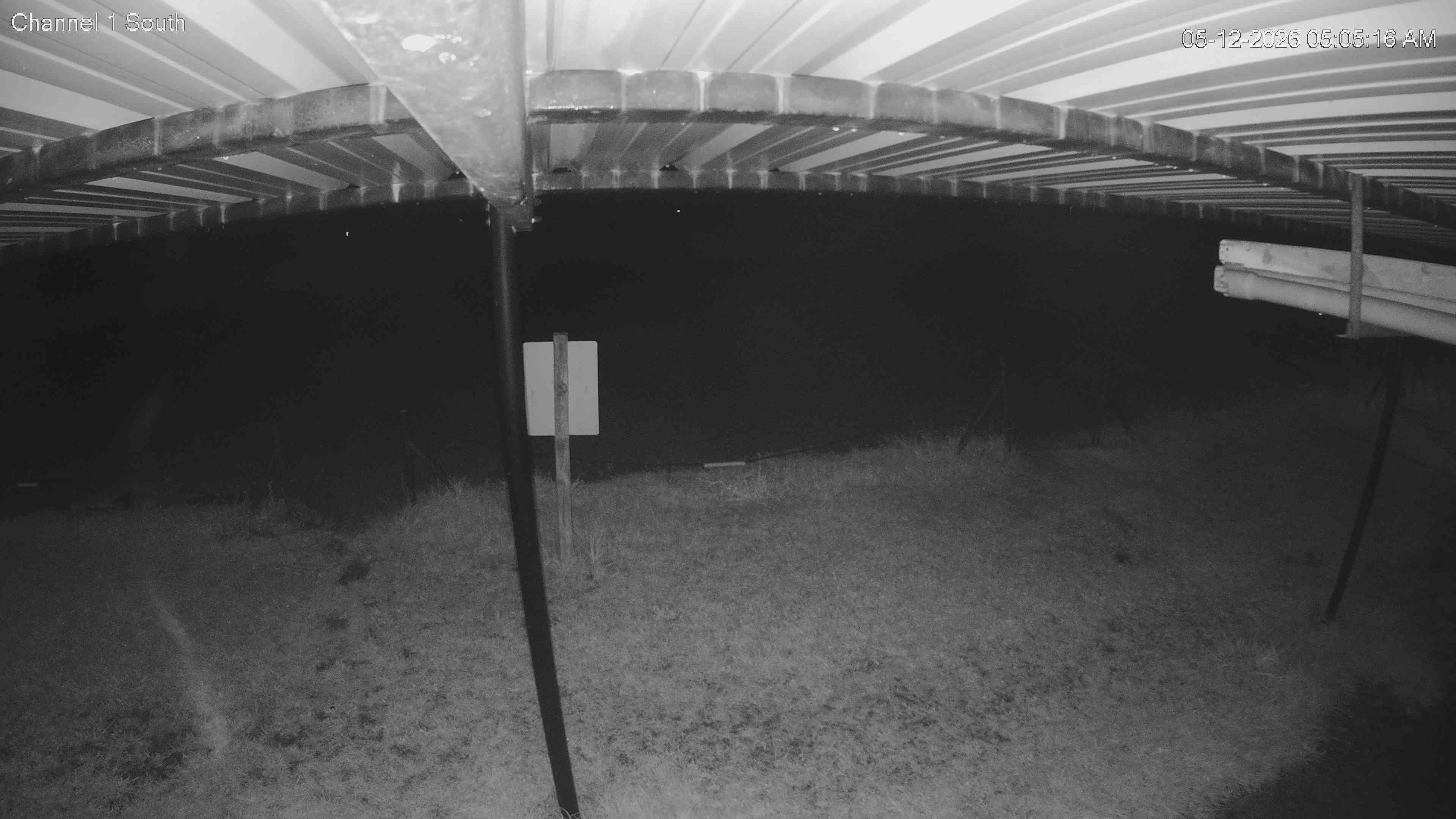 camera image